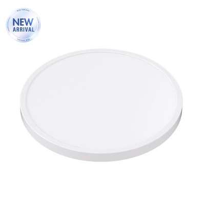 غرفة المعيشة أضواء السقف الحديثة